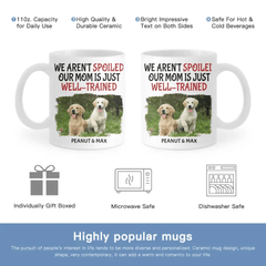 Personalized Name Color Changing Mug For Pet Owner - Well Trained Mom Photo - OLESA