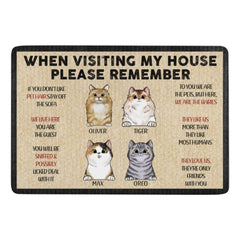 Pets' Rules When Visiting Our House - Cats And Dogs Personalized Decorative Mat, Doormat - OLESA