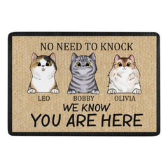 We Know You Are Here - Funny Personalized Cat Decorative Mat - OLESA